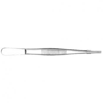 Organization forceps